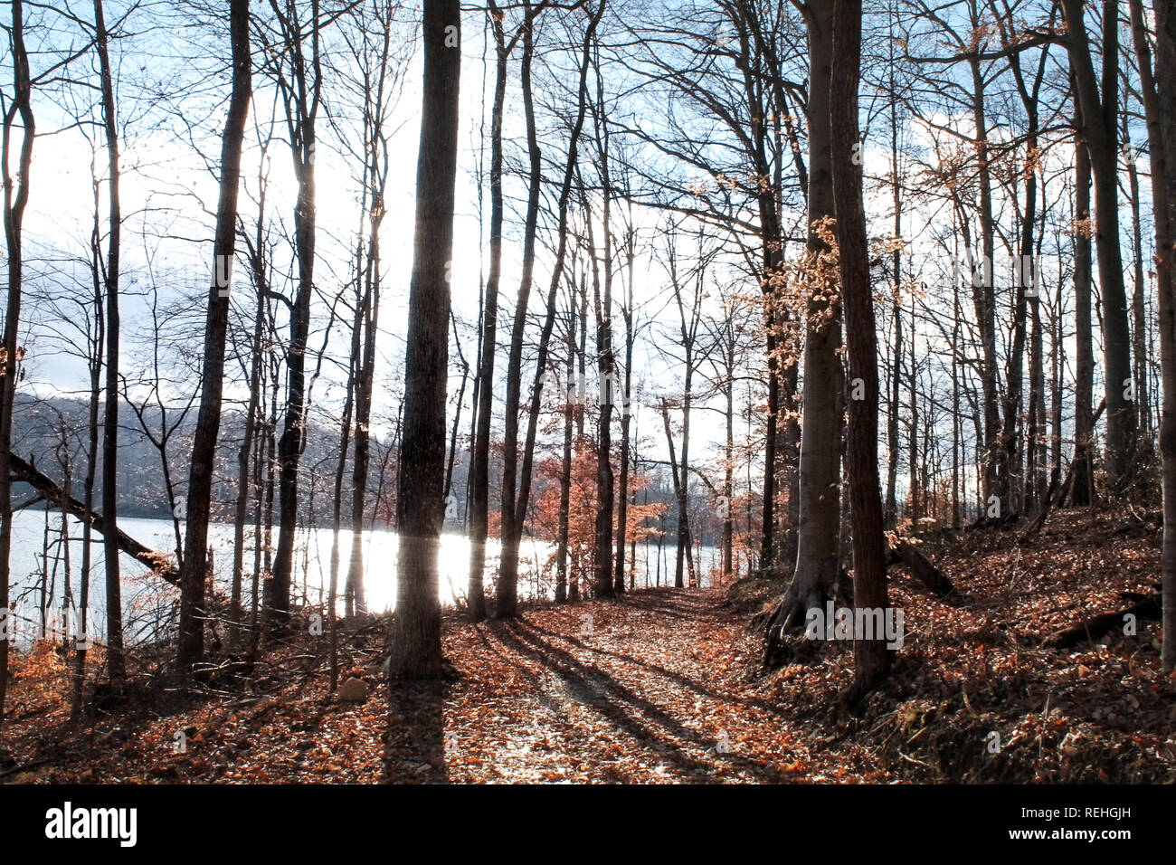 Patoka dam hires stock photography and images Alamy