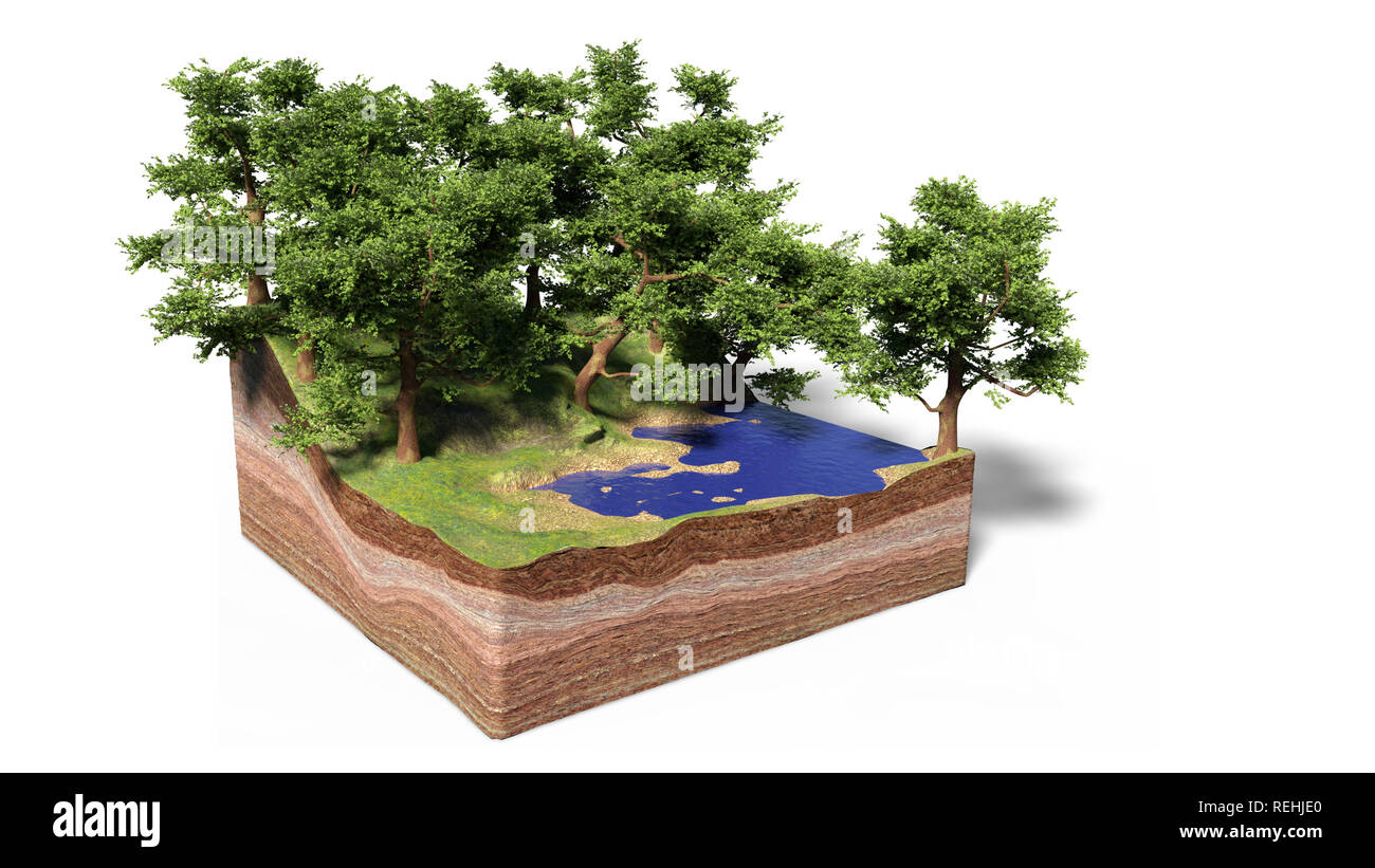 cross section of ground with lake, forest and beach, idyllic nature with trees cube concept (3d illustration, isolated with shadow on white background Stock Photo