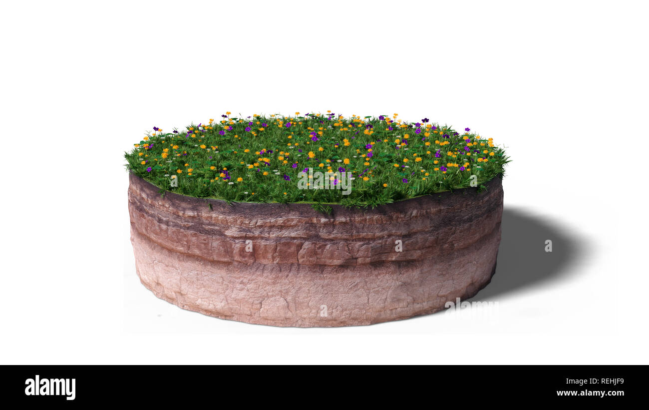model of a cross section of ground with grass and flowers on the surface (3d render, isolated on white background) Stock Photo