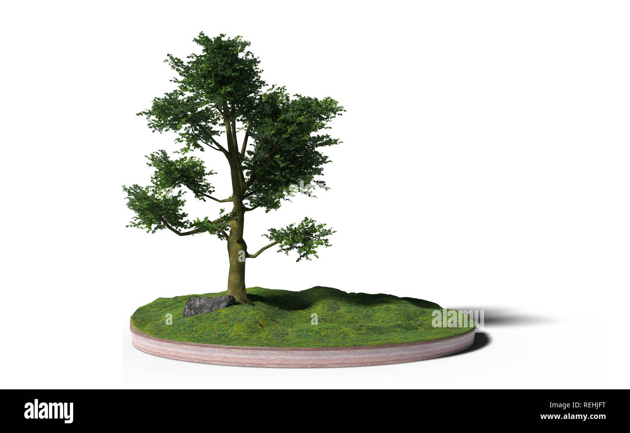 model of a cross section of ground with tree, rock and grass on the surface (3d render, isolated on white background) Stock Photo
