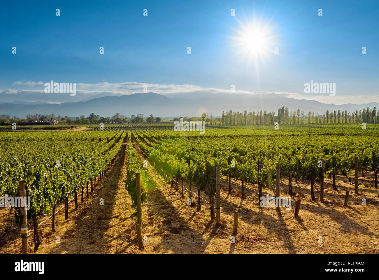 Silverado trail hires stock photography and images Alamy