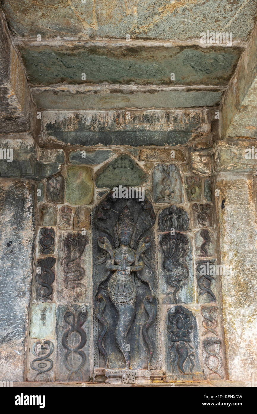 Belur, Karnataka, India - November 2, 2013: Chennakeshava Temple building. Wall under mandapam with multiple stone sculptures of intertwined snakes, s Stock Photo