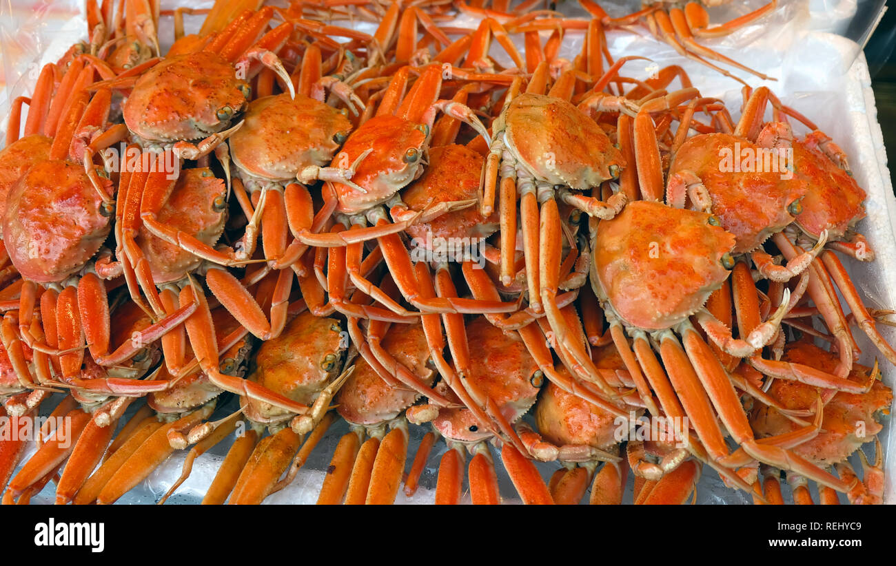 A tray of fresh red crabs stacked in layers in a wet market in Japan. Stock Photo