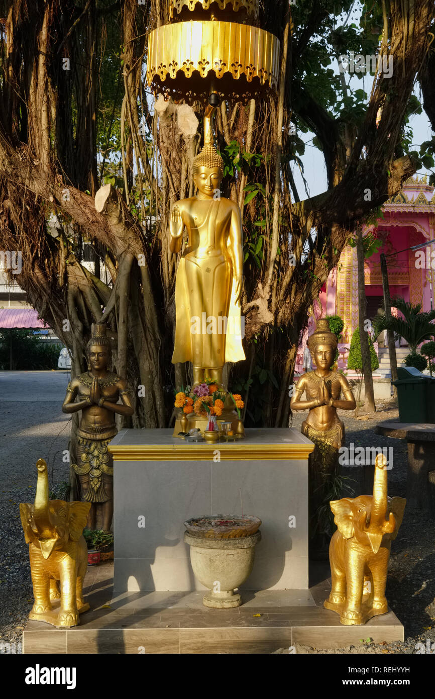 A Buddha statue in early sunlight, displaying the mudra (hand gesture) of Abhaya (dispelling fear) at Wat Phra Nang Sang, Thalang, Phuket, Thailand Stock Photo