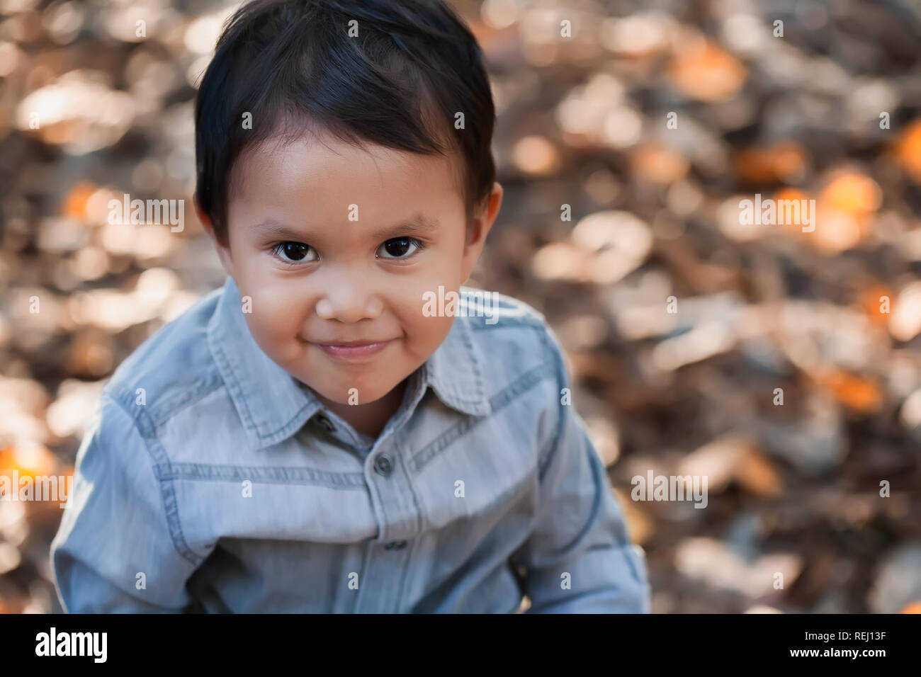 A young latino boy with a cute smile looking thoughful and friendly in a field of dried leaves during fall. Stock Photo