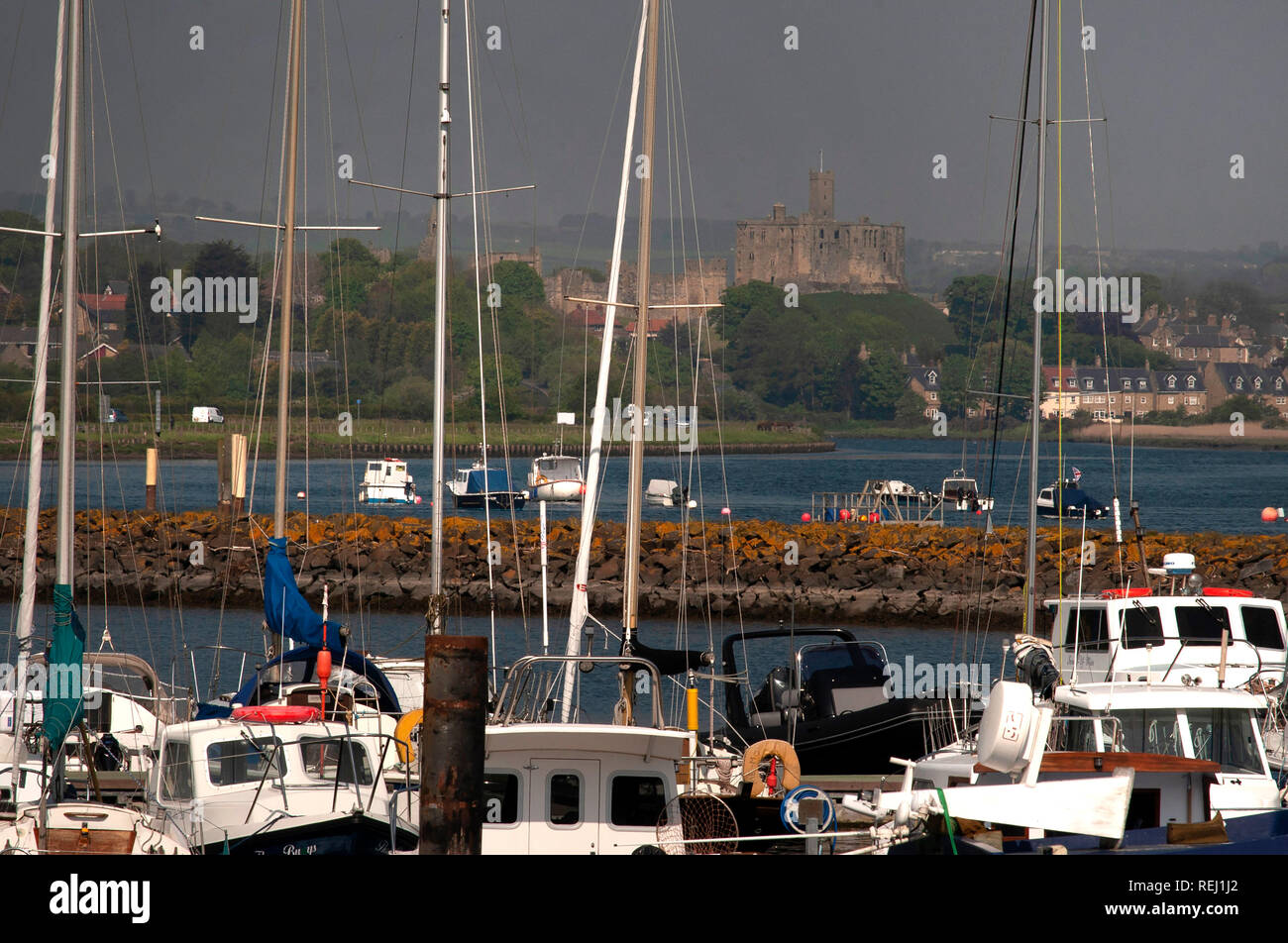 Boats moored in Amble marina with view of Warkworth Castle