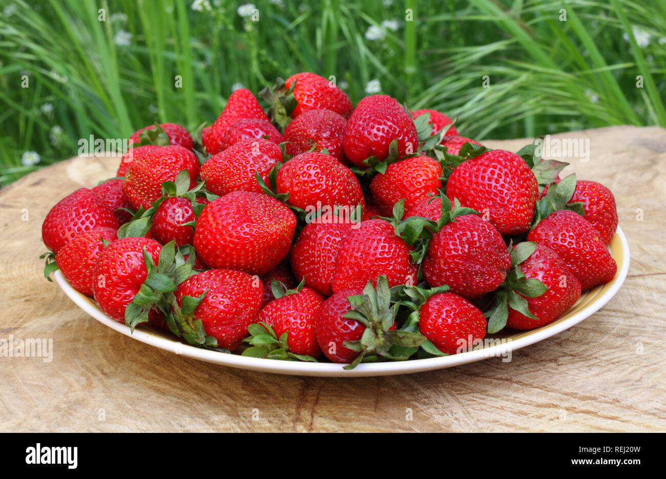 Still life with strawberries in the country Stock Photo - Alamy