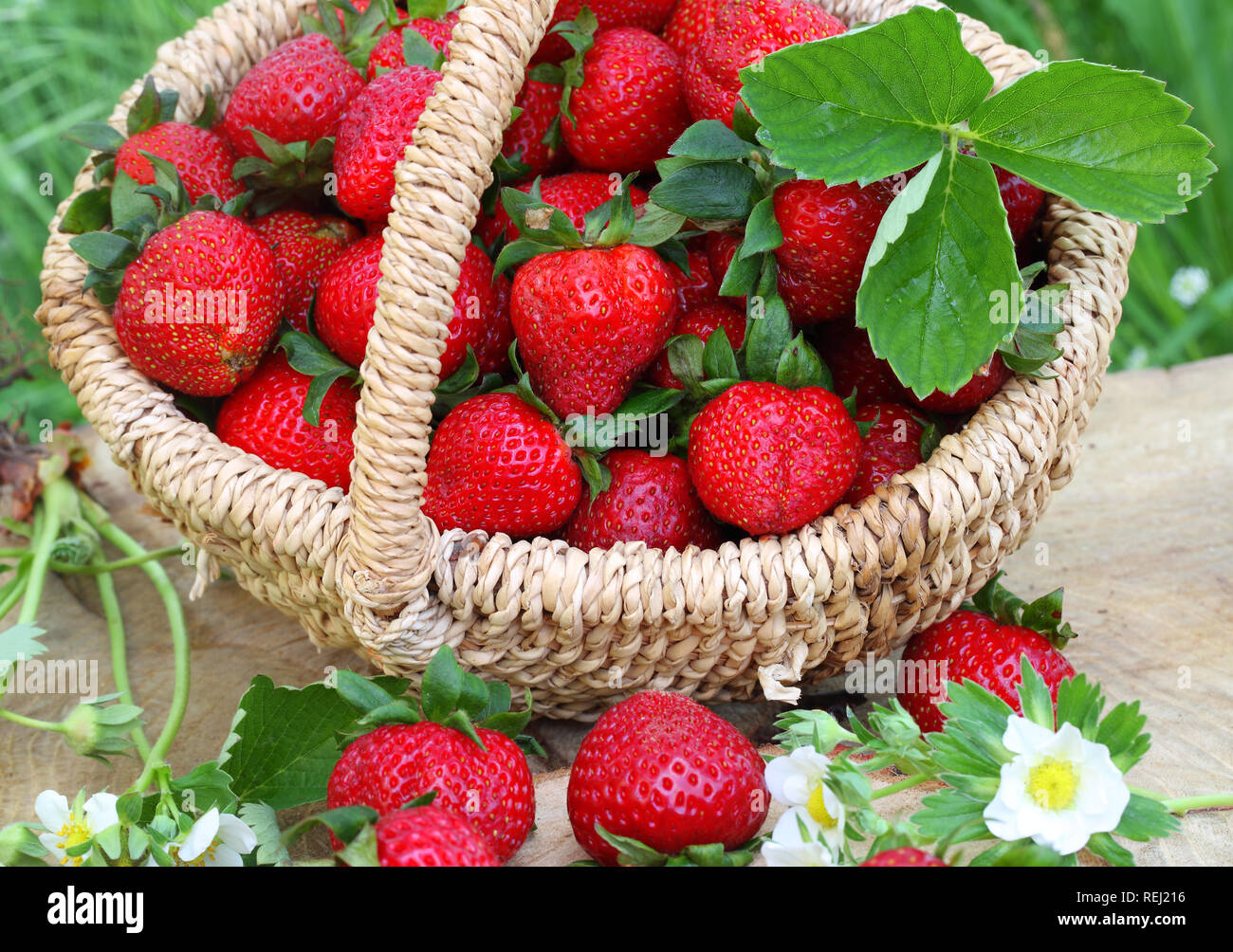 Still life with strawberries in the country Stock Photo - Alamy