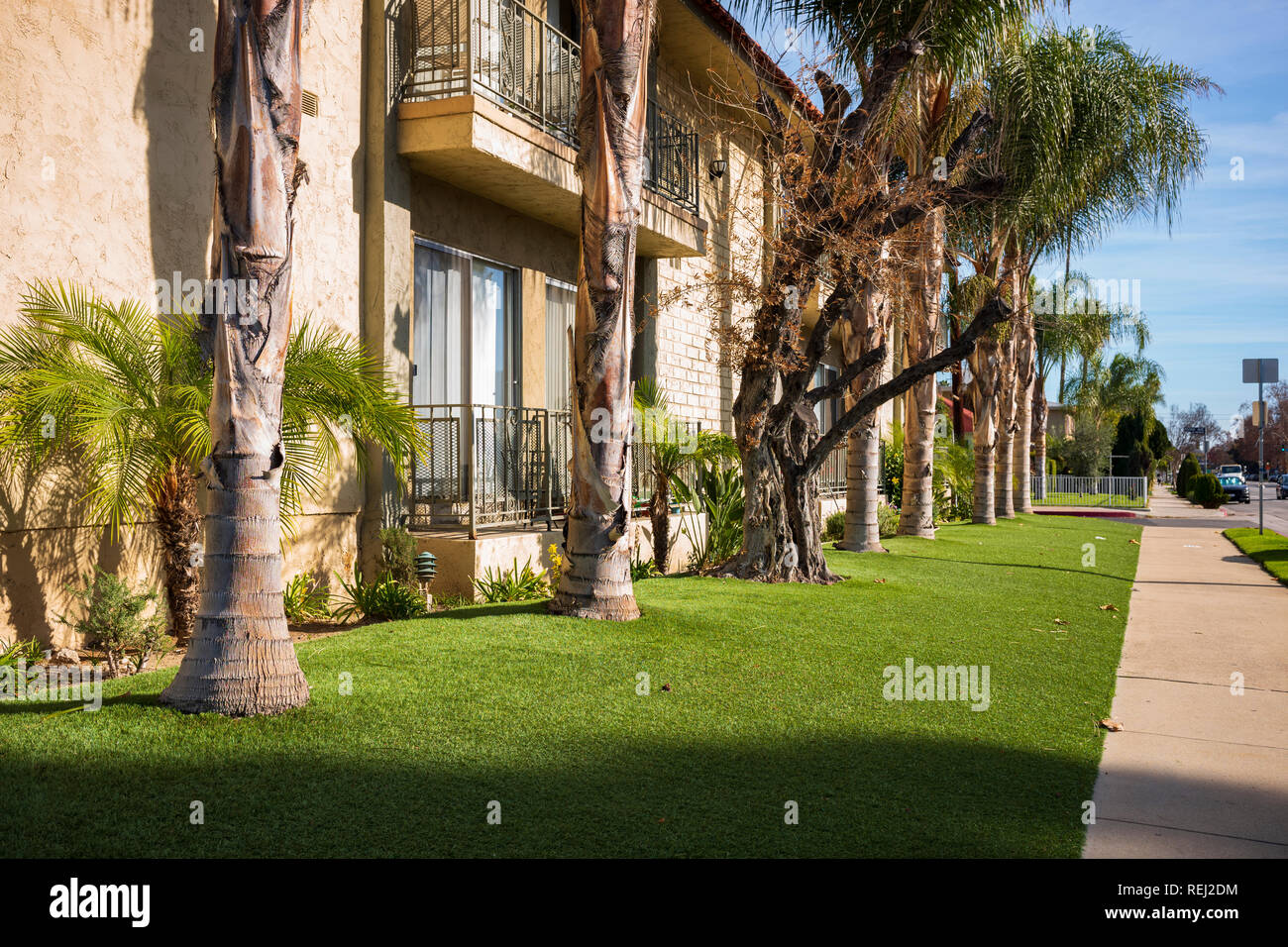 Artificial turf replacing natural grass in a residential area in