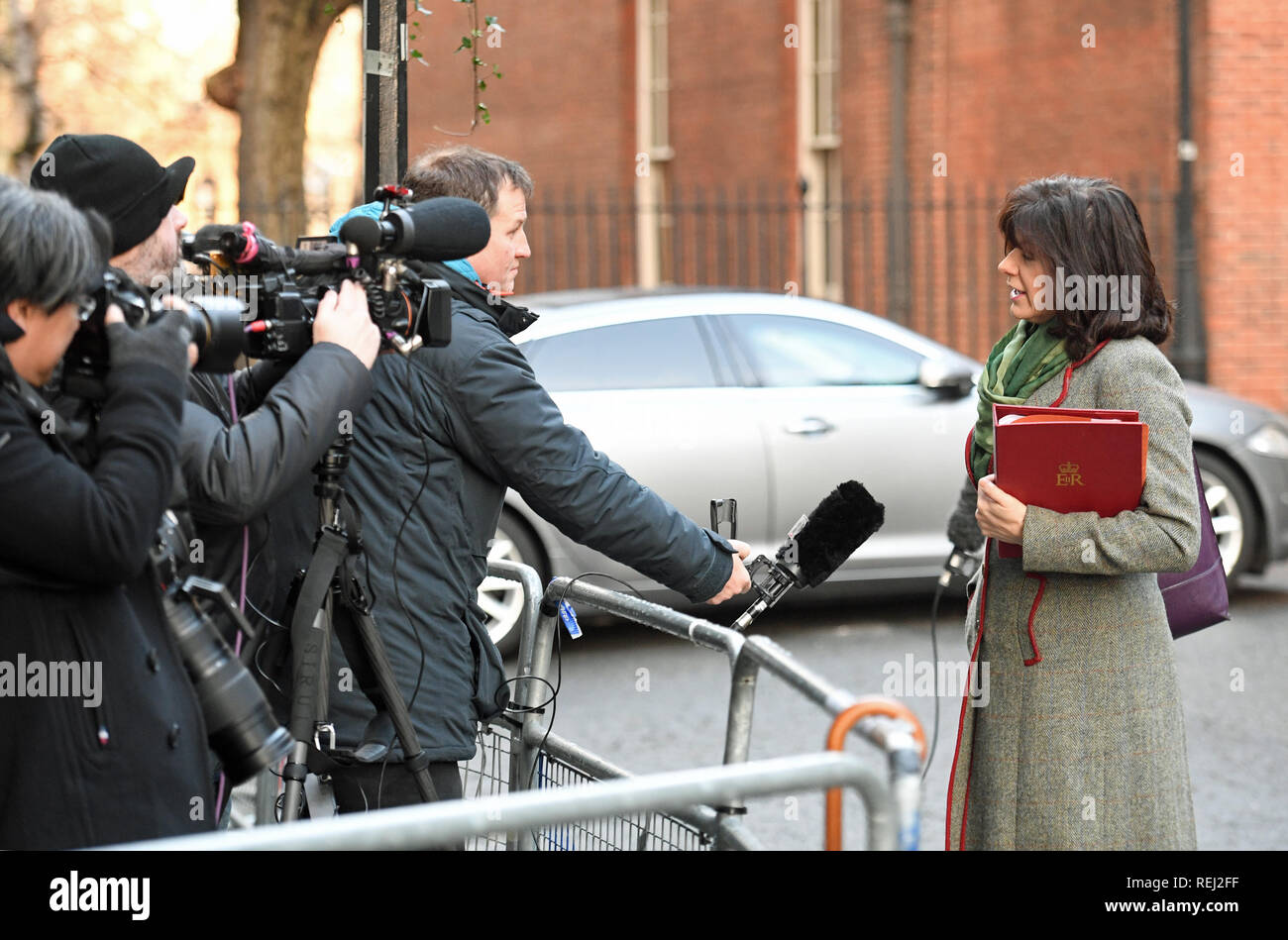 Claire Perry, Minister of State for Energy and Clean Growth, speaks to the media as she arrives in Downing Street, London, for a meeting of the cabinet. Stock Photo