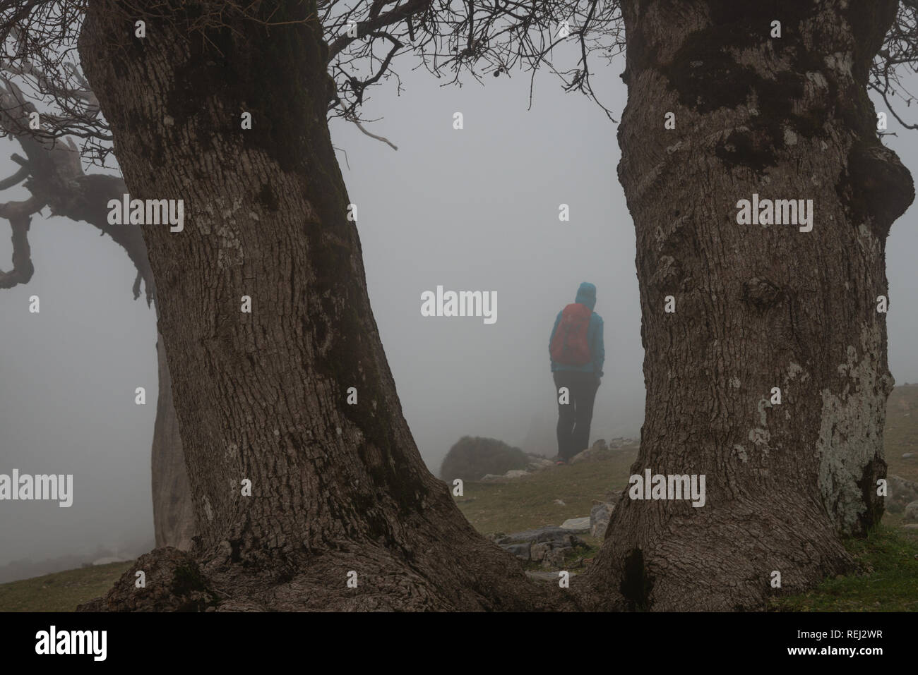 Hiker in the mist in the Sierra de las Nieves Natural Park, Ronda, Andalusia, Spain Stock Photo