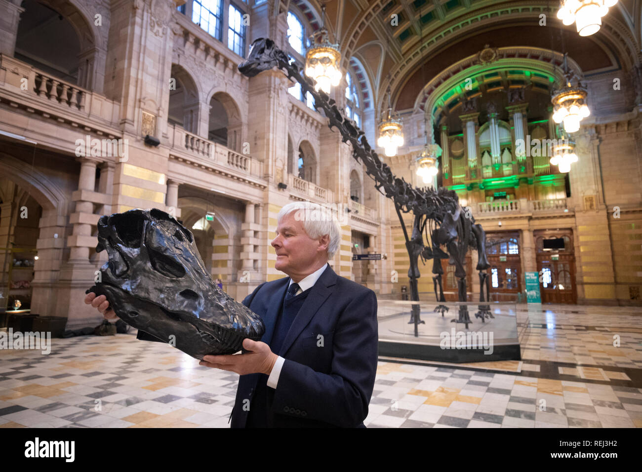 William Thomson, great grandson of the Scottish-American philanthropist Andrew Carnegie, takes a closer look at a plastic replica of the skull of Dippy, the Natural History Museum London's famous diplodocus skeleton, as it was unveiled at Kelvingrove Art Gallery and Museum in Glasgow. Stock Photo