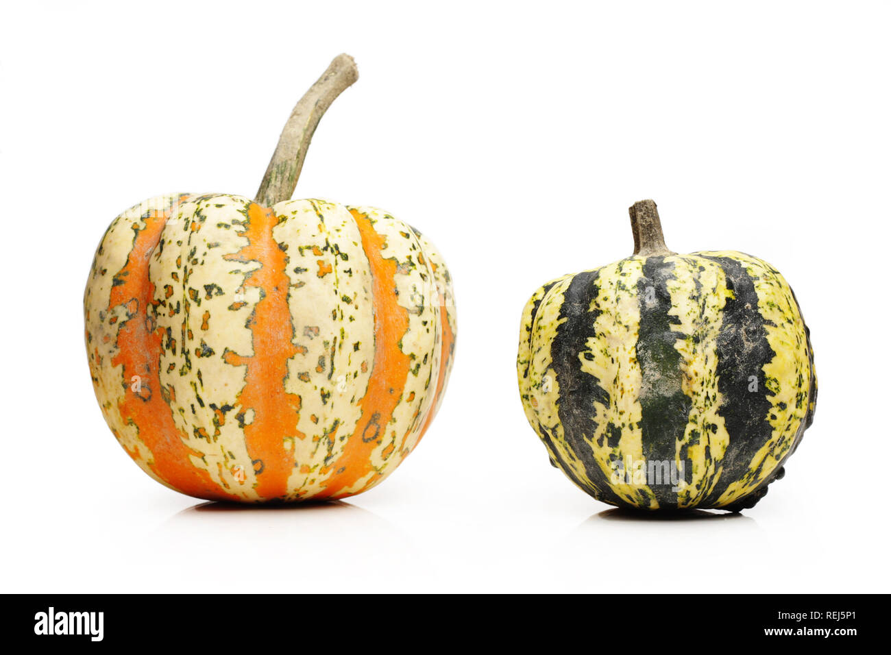 Two pumpkins, isolated on white Stock Photo - Alamy
