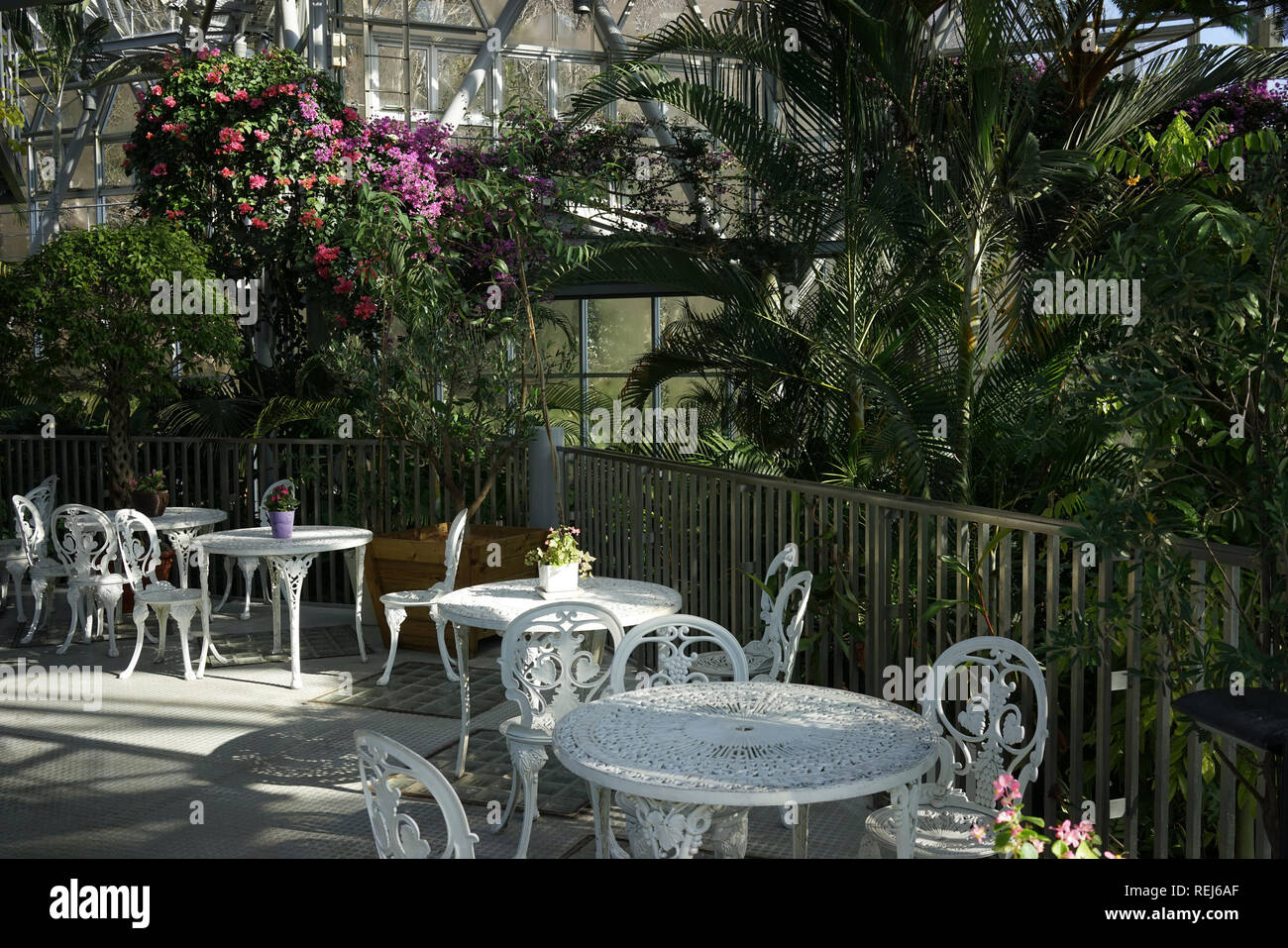 Herb e hires stock photography and images Alamy