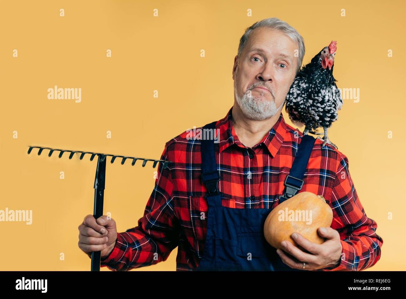 Farmer is holding a rake hi-res stock photography and images - Alamy