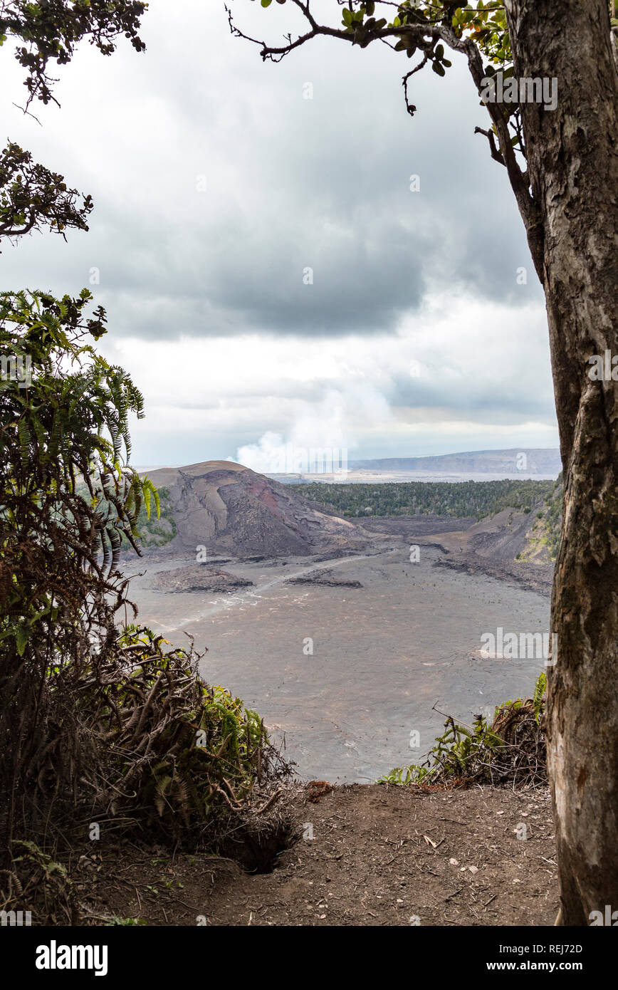 Kilauea Iki Crater in the Volcanoes National Park on the Big Island of
