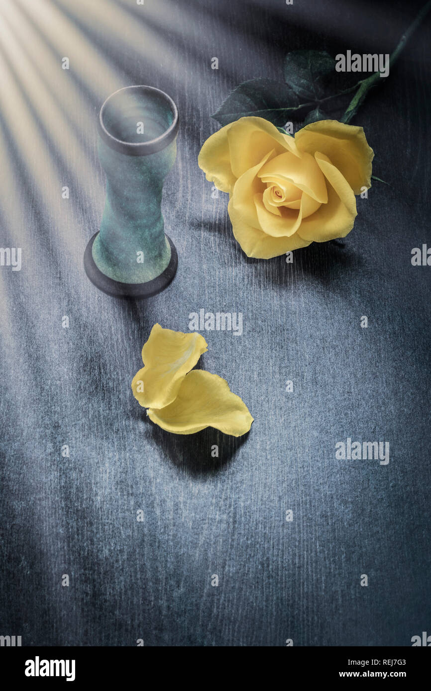 Yellow rose next to small vase on blue wooden table with sunrays effect Stock Photo