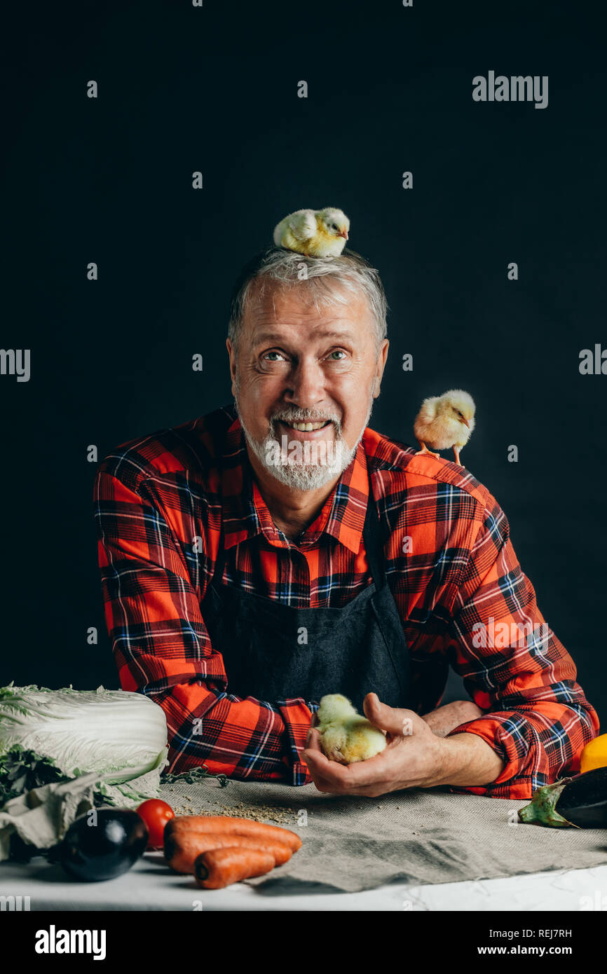 to breed chickens or not to bread Stock Photo Alamy
