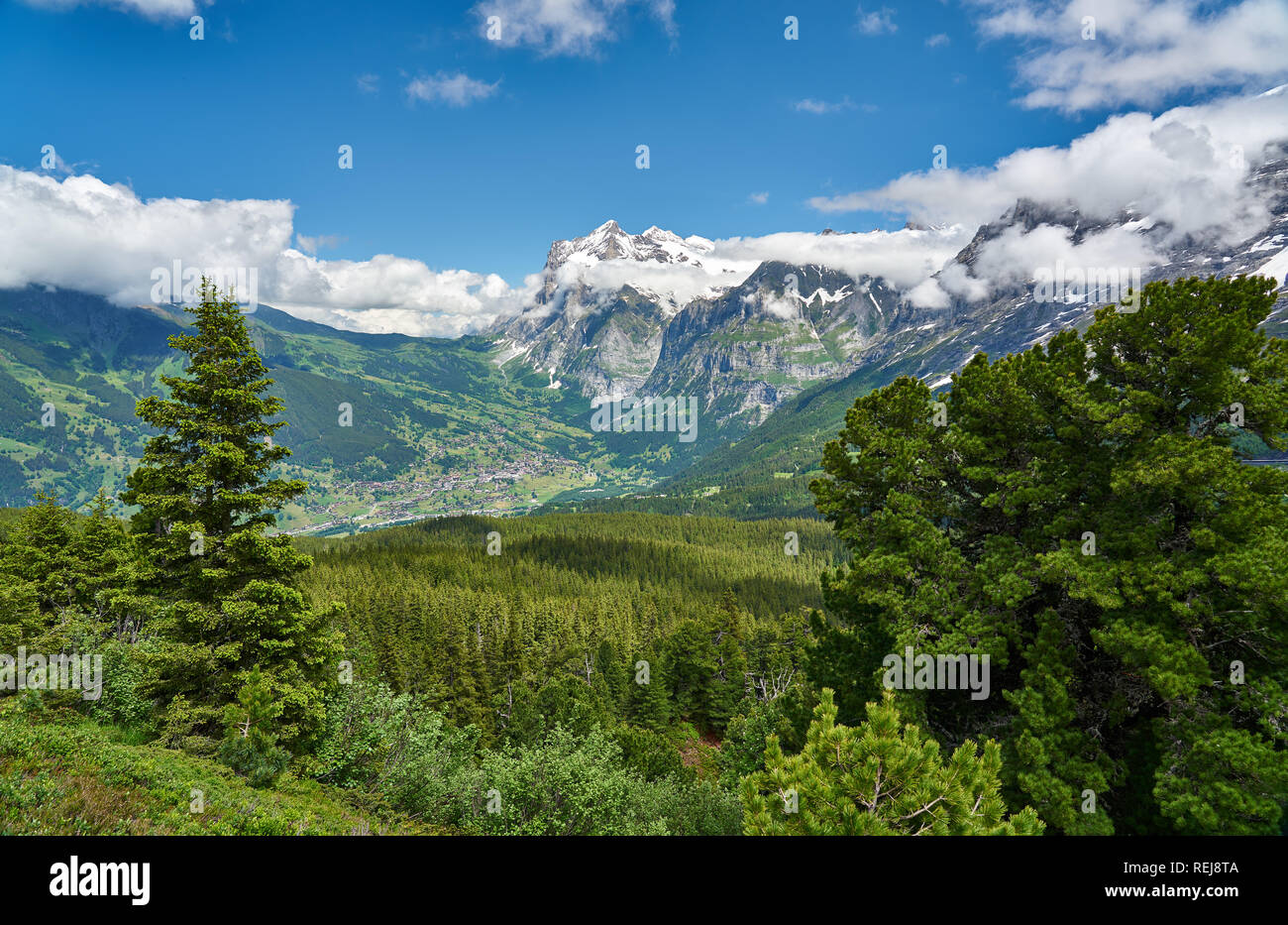 Swiss Alps landscape with meadow, snowy mountains and green nature ...