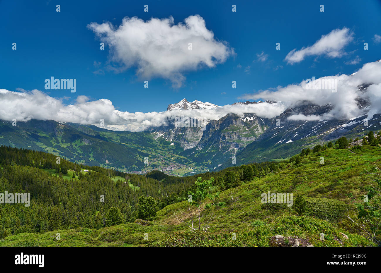 Swiss Alps landscape with meadow, snowy mountains and green nature ...