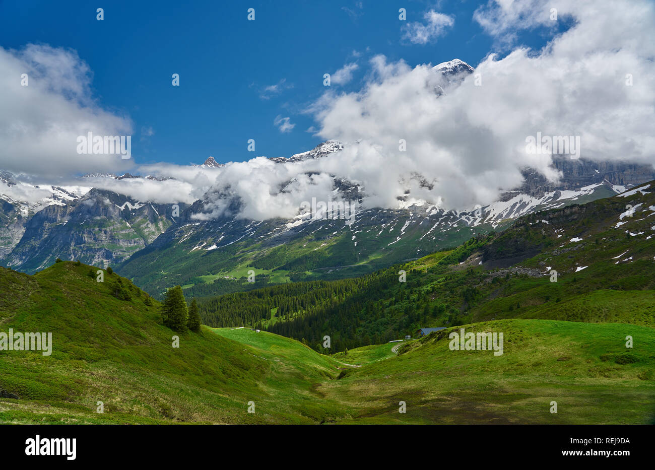 Swiss Alps landscape with meadow, snowy mountains and green nature ...