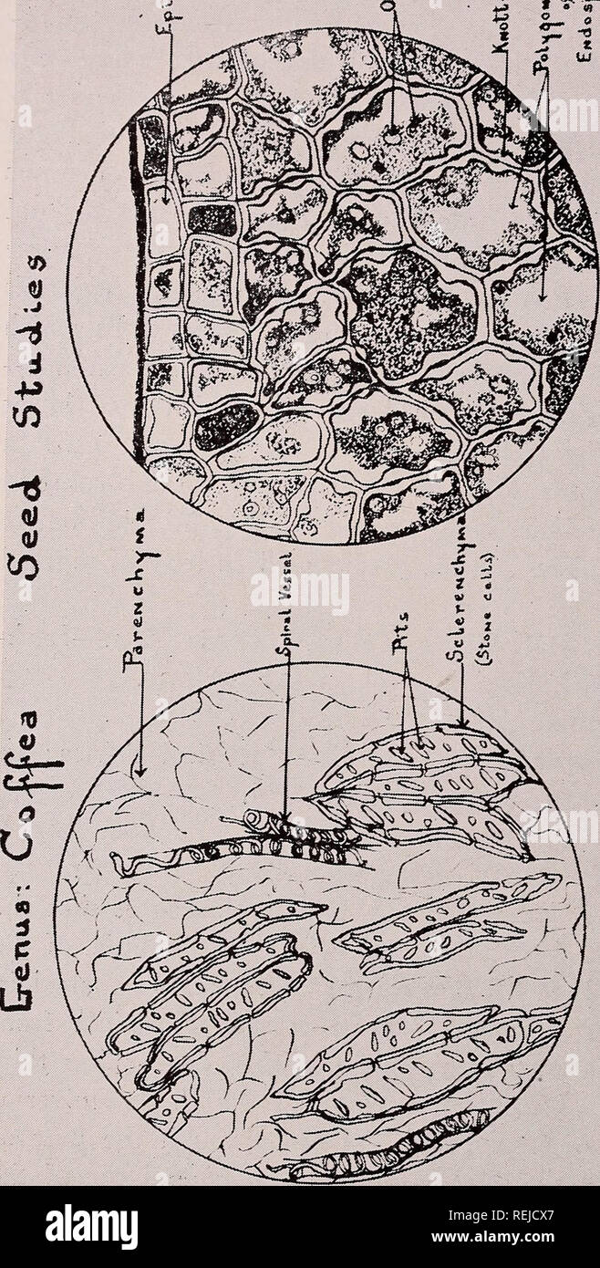 Page 433 W S L High Resolution Stock Photography And Images Alamy