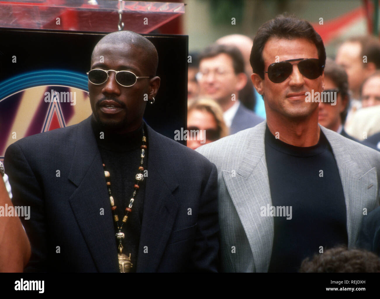 download snipes and stallone movie