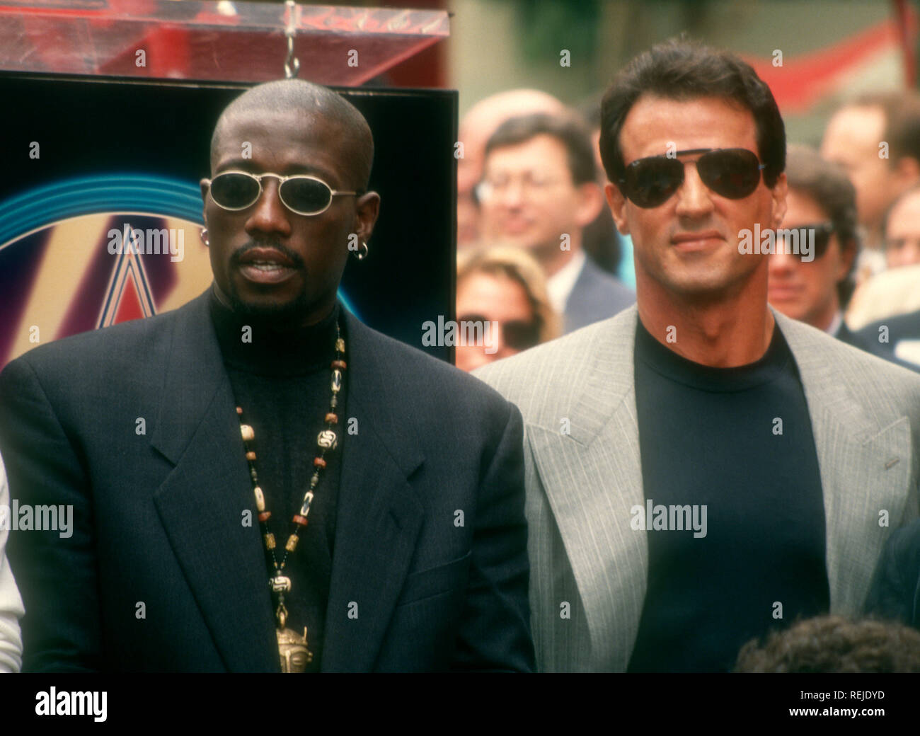 download wesley snipes and stallone movie download wesley snipes and stallone movie