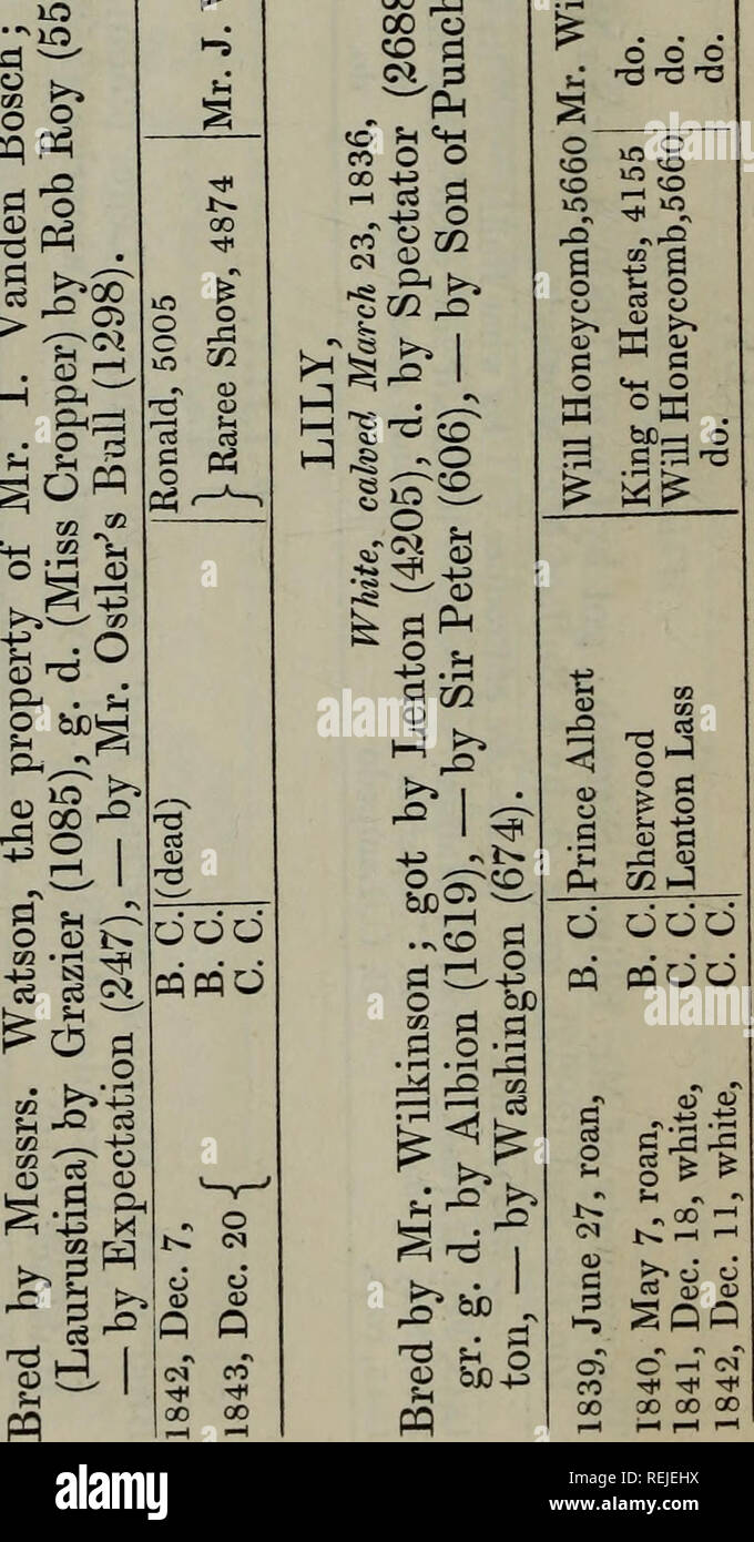 . Coates's Herd Book. 438 CO ^ &gt;* o be =3 fee Ph c^! CO GO d ^ S ^ m ,-.. CO 00 â Â« O O &gt;^ c^ O 05^ is .b ^ &quot;53 O o .S iâH O â¢T3 CQ C3 O o o e do cows. c-:Â». 'â Ci n -^^ ^ 8 Â«+ ( !Â» &quot;iH o a, â¢^ 1 13 &gt;p&quot; be O C3 ^-^ t^ cc W -J -- cÂ« 5Â« o) cs c3 ^ r^ !h ^ . S 5 ^. a be ^ ^ Â» S o rt ^ s Sffi-Â« &lt; y ' .^ r^ ni .V 1=1 O cn bi)55 lO g orT (-1 g '1 &gt;. (N &lt;N Tt&lt; â ^ Tt&lt; â * 00 00 CO. Please note that these images are extracted from scanned page images that may have been digitally enhanced for readability - coloration and appearance of these illustration Stock Photo