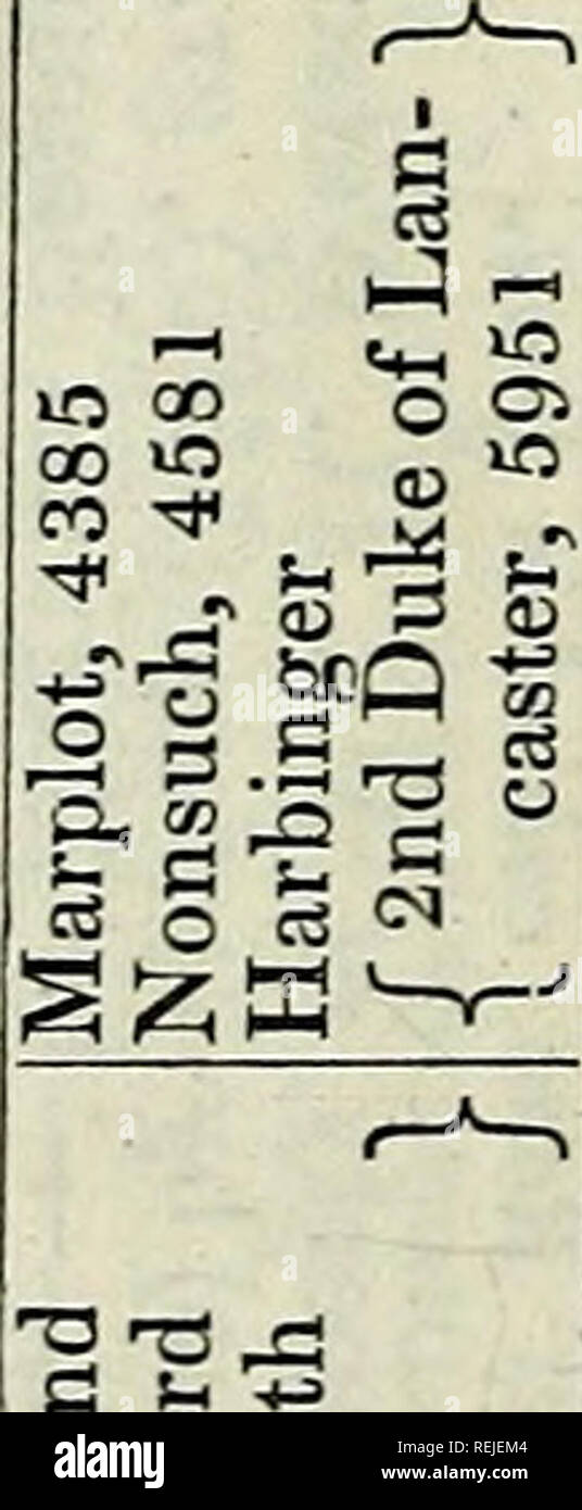 Page 7 V L C Cs High Resolution Stock Photography And Images Alamy