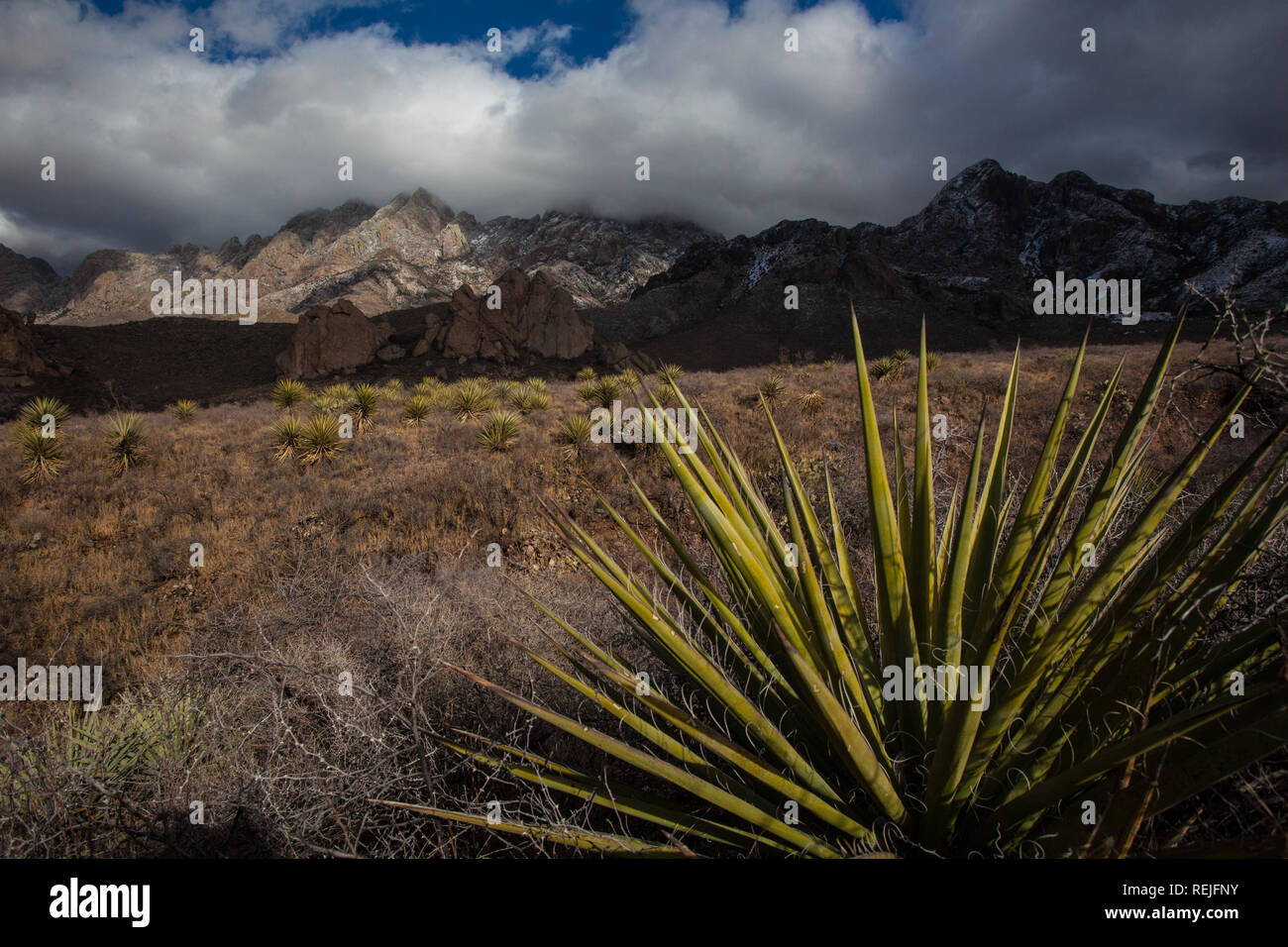 Dripping Springs, Dona Ana County, New Mexico, USA Stock Photo Alamy