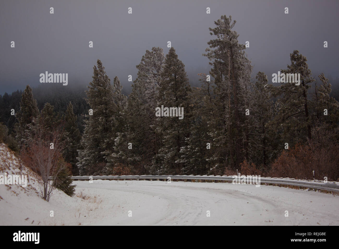 Lincoln National Forest, Otero County, New Mexico, USA Stock Photo Alamy