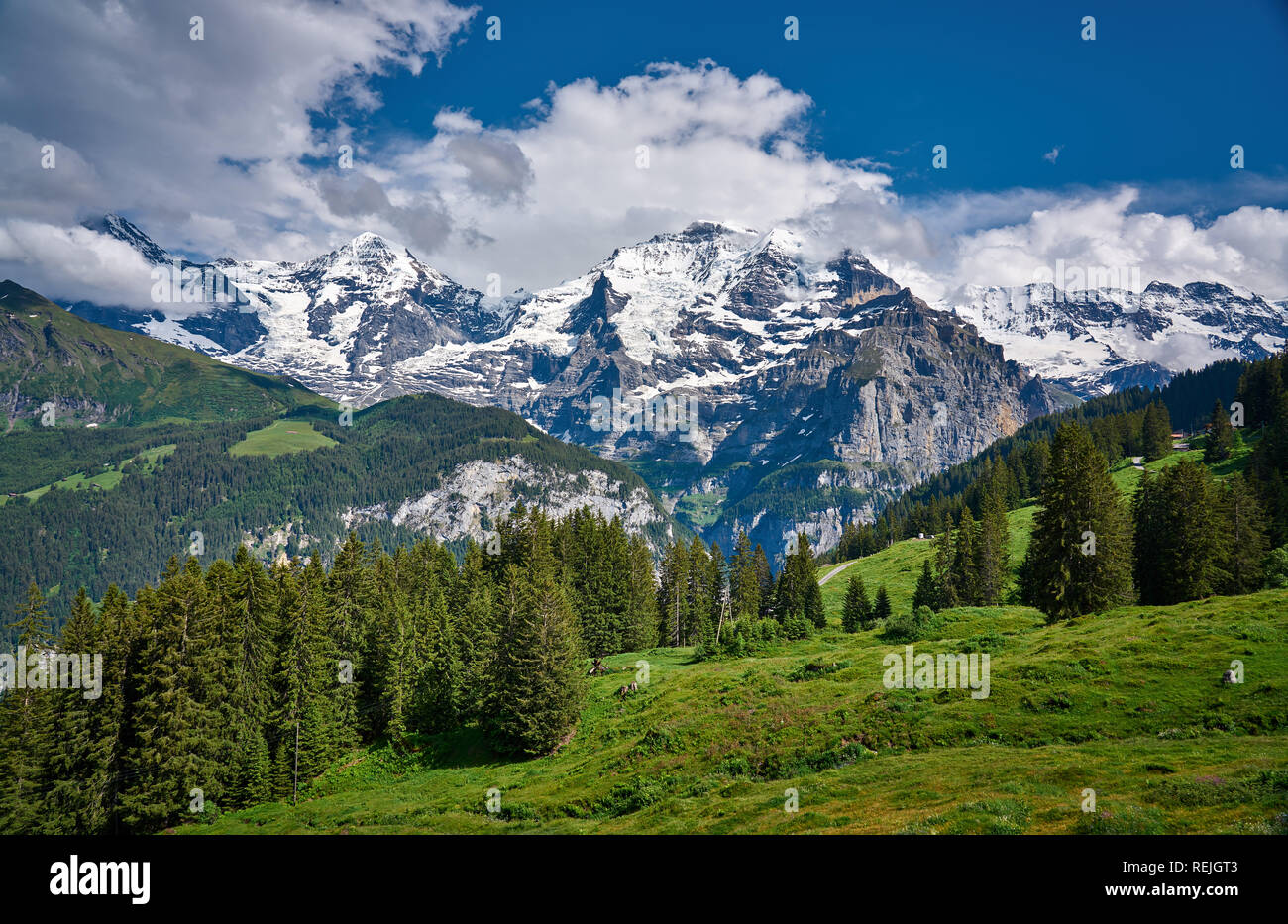 Swiss Alps landscape panorama with green nature and snowy mountains. Taken  from Grütschalp - Mürren train, above Lauterbrunnen valley, Switzerland  Stock Photo - Alamy