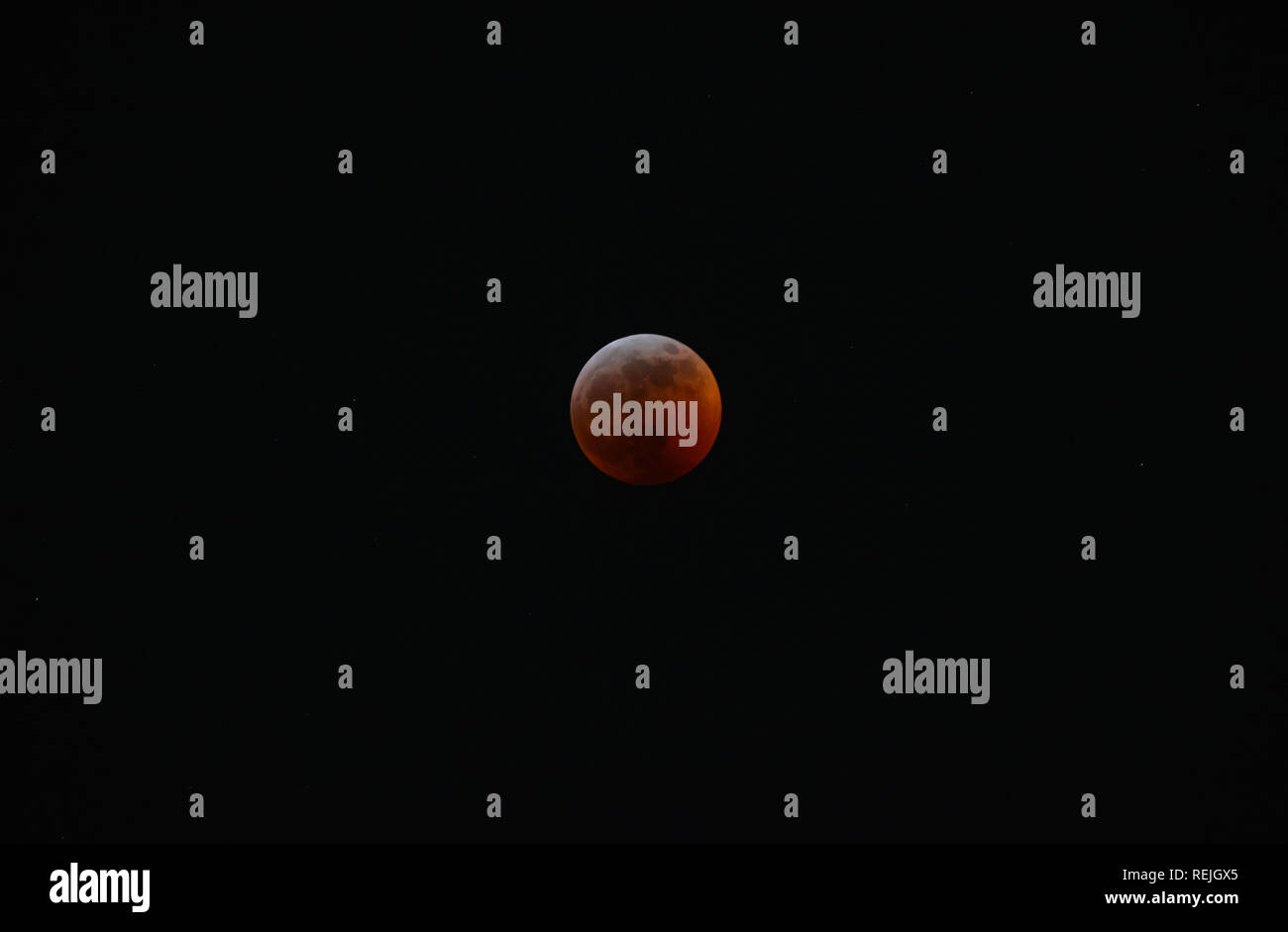 Super Blood Wolf Moon during total lunar eclipse at totality Stock Photo