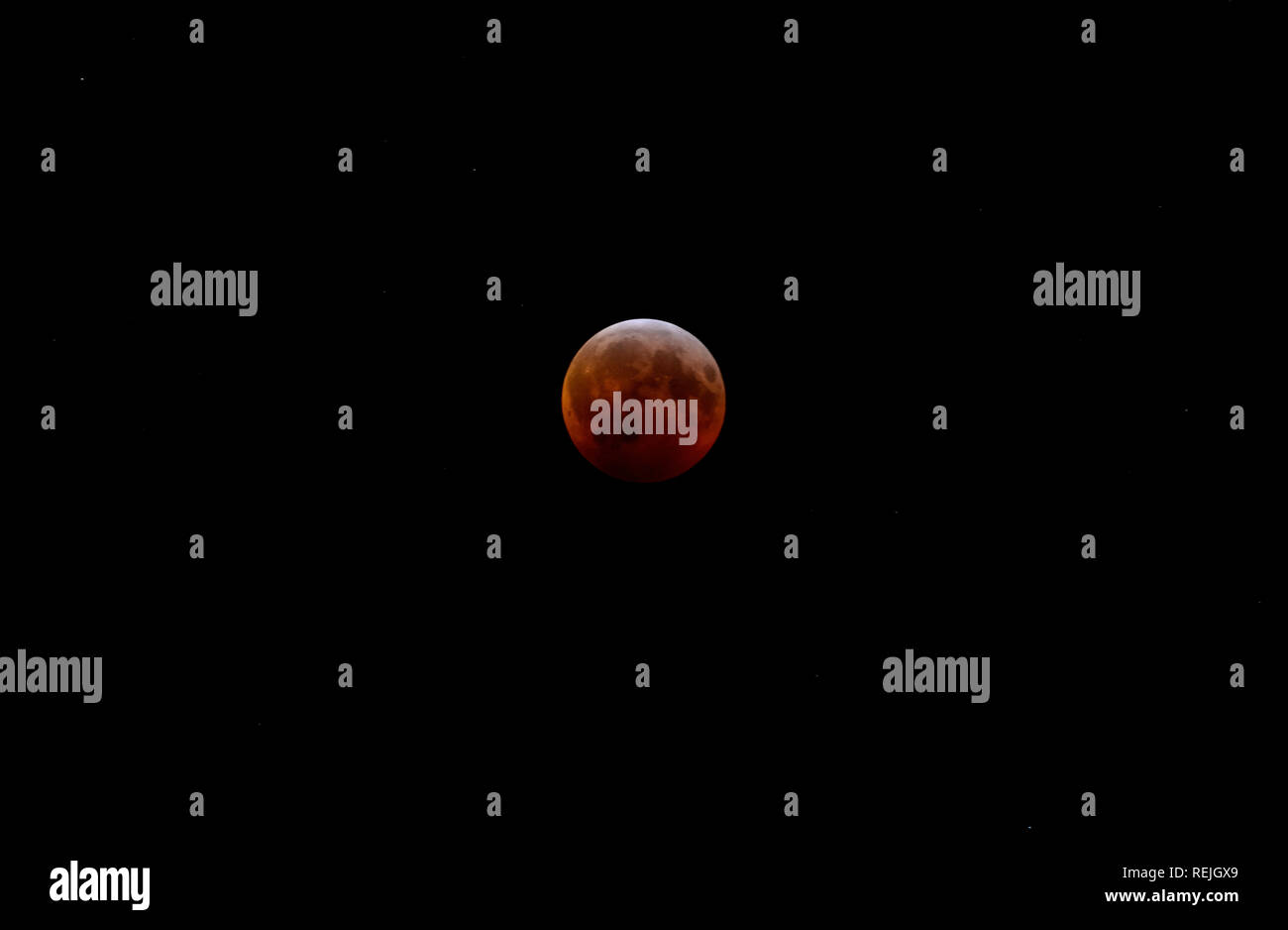 Super Blood Wolf Moon during total lunar eclipse at totality Stock Photo