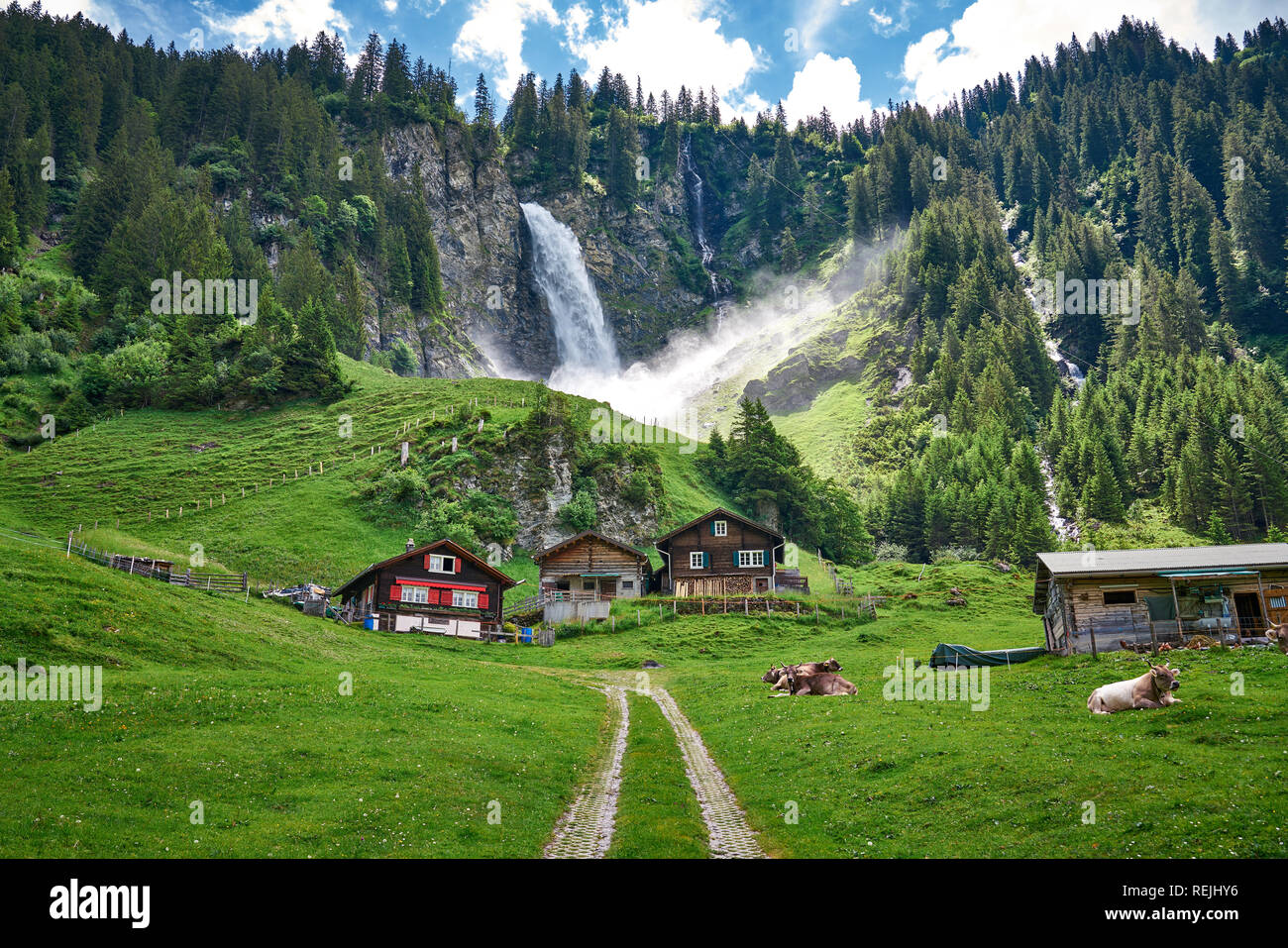Beautiful landscape panorama from Swiss Alps, with cows, waterfall