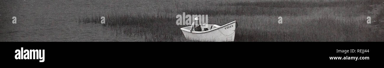 Bill Foster Stock Photos Bill Foster Stock Images Alamy