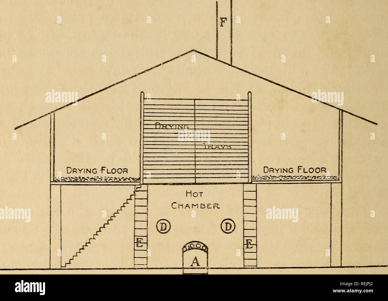 The Coco Nut 11 M N I I I I N 111111111 Ground Plan Section