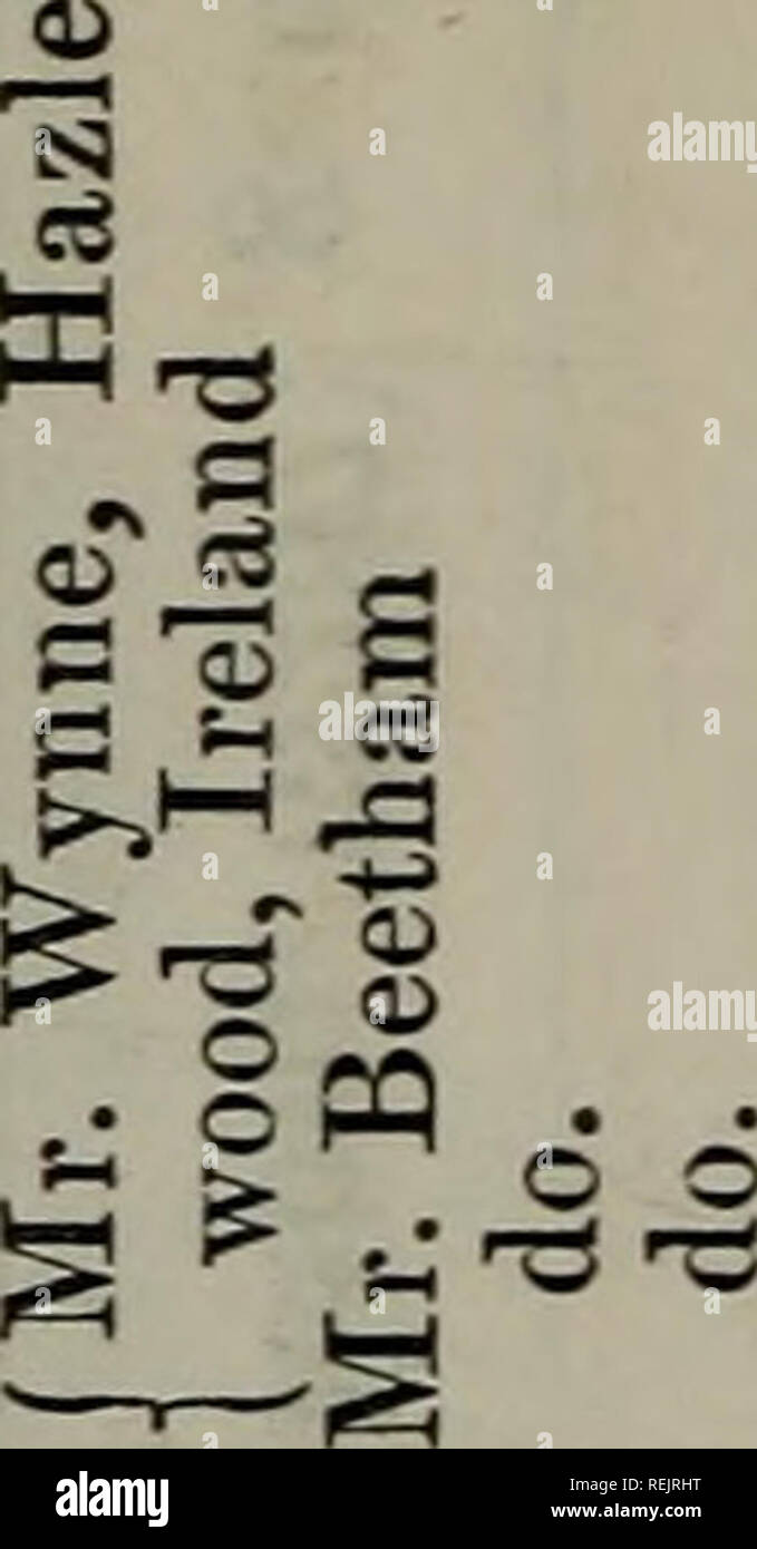 Q Oa High Resolution Stock Photography And Images Alamy