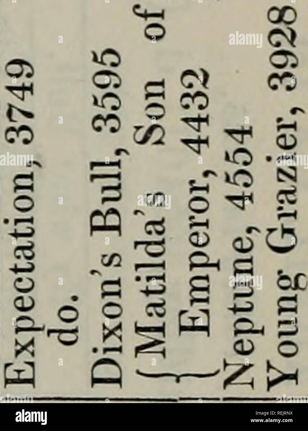 Coates S Herd Book Cows 787 G Fcx C Tc Co Gt R 5 C Iz O A O Co Gt Tic Oj R J R 3