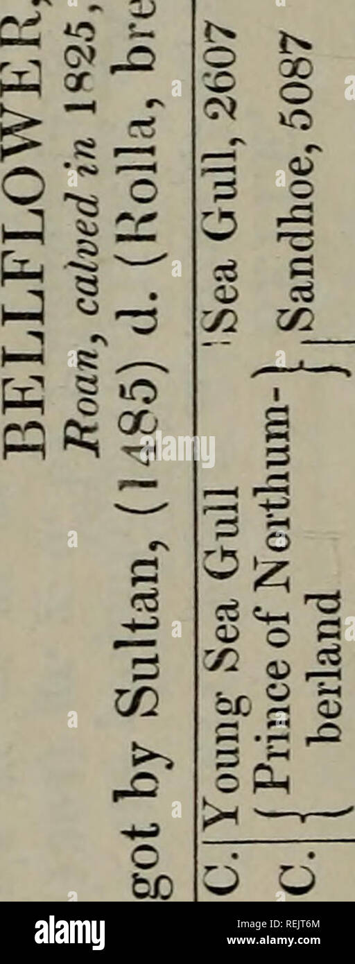 Coates S Herd Book 80 Cows 1 Cd 6 Gt Og Co Gt O O Bj C To Oi X P L A R A Gt O Flh 1 A Ai M