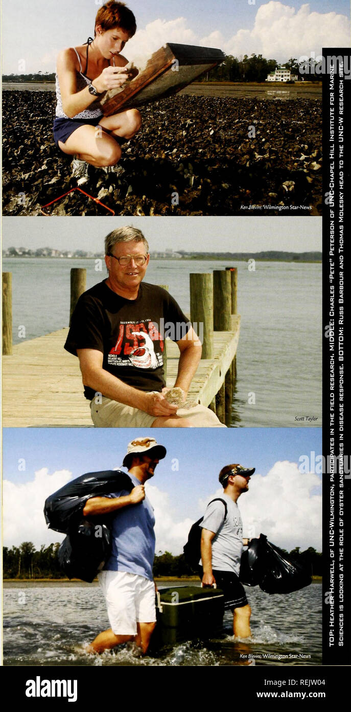 Dermo oyster hires stock photography and images Alamy