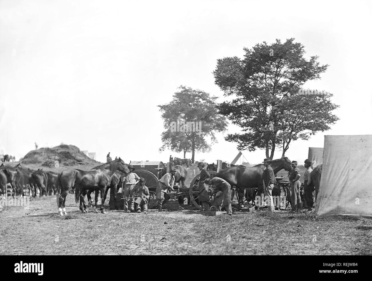 Blacksmith Shoeing Horses at Headquarters, Army of the Potomac, Battle of Antietam, Maryland, USA, Alexander Gardner, September 1862 Stock Photo