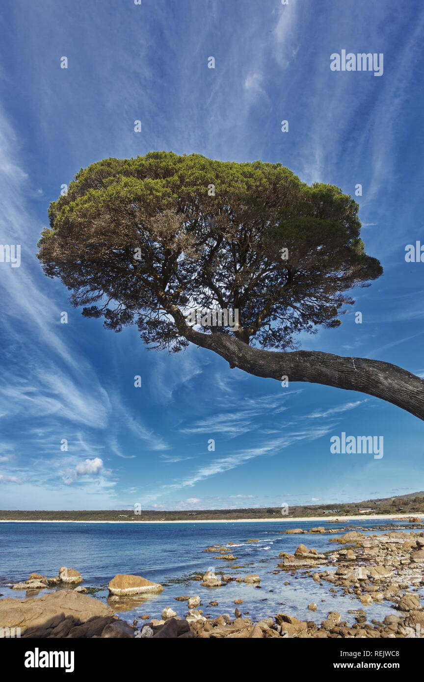 Beautiful Bunker Bay in Western Australia in Margaret River Wine Region accented by tree, water, and sky image Stock Photo