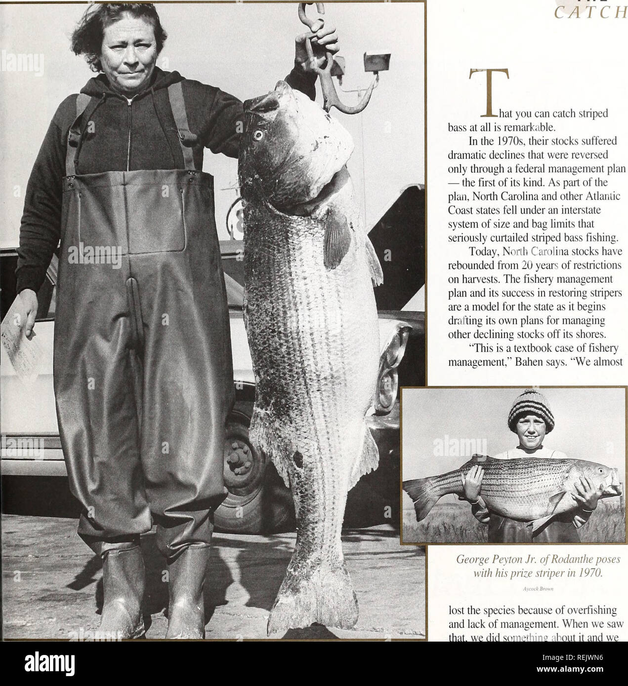 striped bass hat