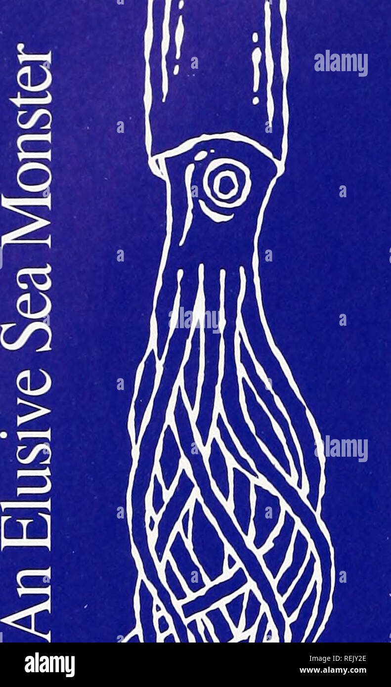 Coast watch. Marine resources; Oceanography; Coastal zone management;  Coastal ecology. COASTAL TIDINGS. I he giant squid has populated legends,  fiction, horror movies and probably plenty of nightmares. But more than a