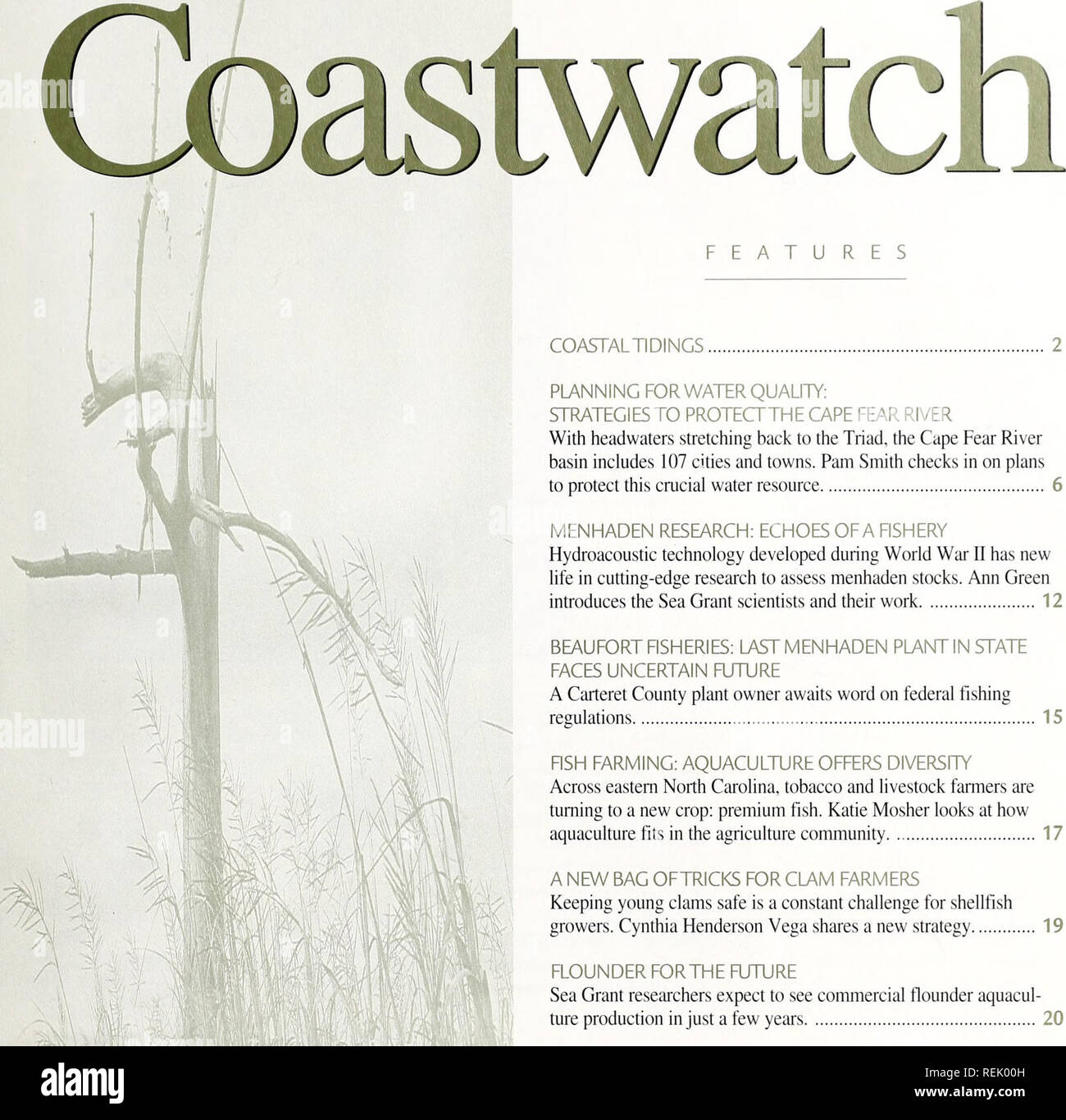 . Coast watch. Marine resources; Oceanography; Coastal zone management; Coastal ecology. COASTAL Tl DINGS. PLANNING FOR WATER QUALITY: STRATEGIES TO PROTECTTHE CAPE FEAR RIVER With headwaters stretching back to the Triad, the Cape Fear River basin includes 107 cities and towns. Pam Smith checks in on plans to protect this crucial water resource 6 MENHADEN RESEARCH: ECHOES OF A FISHERY Hydroacoustic technology developed during World War II has new life in cutting-edge research to assess menhaden stocks. Ann Green introduces the Sea Grant scientists and their work 12 BEAUFORT FISHERIES: LAST MEN Stock Photo