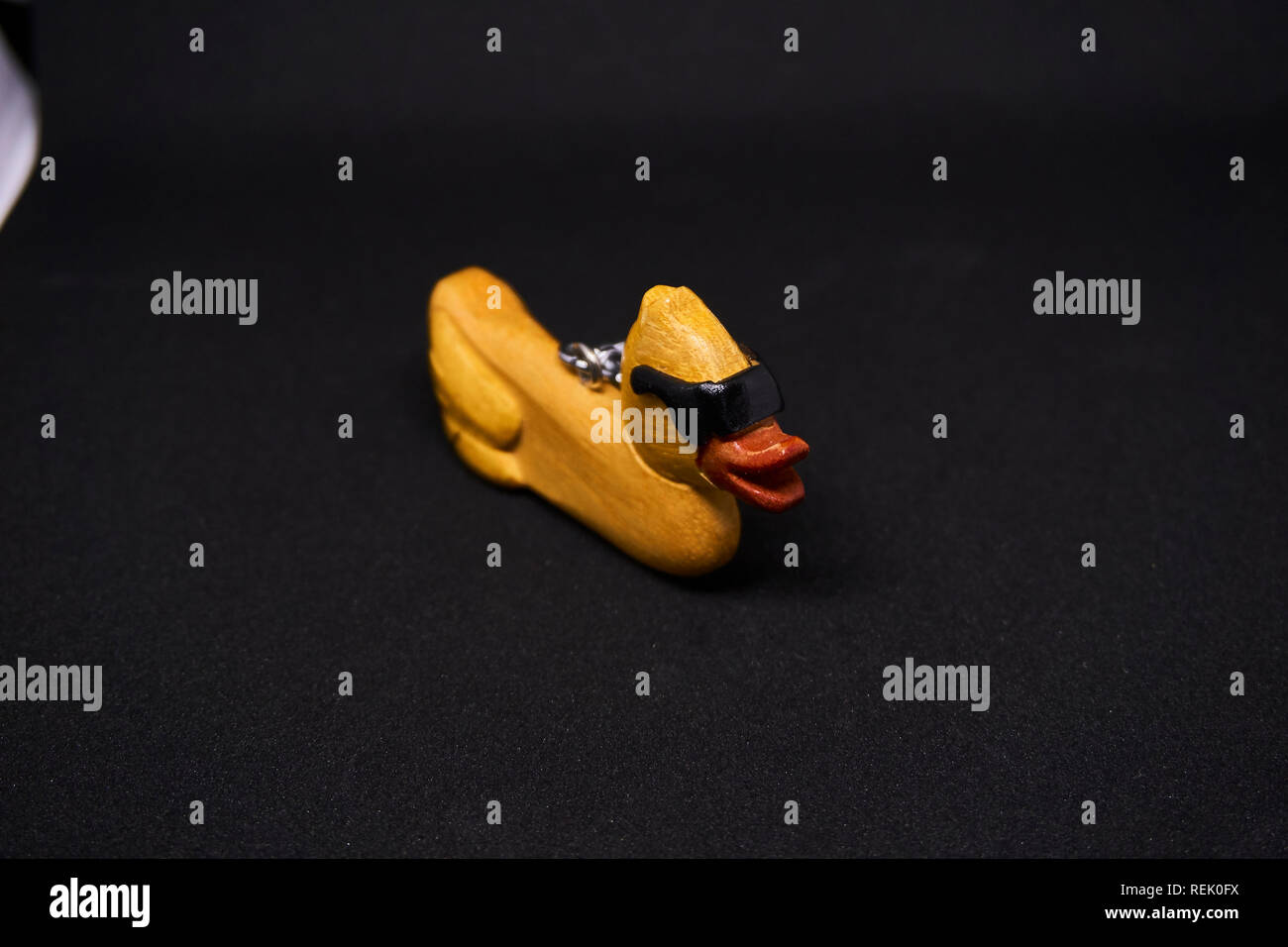 A cool duck with a black background Stock Photo