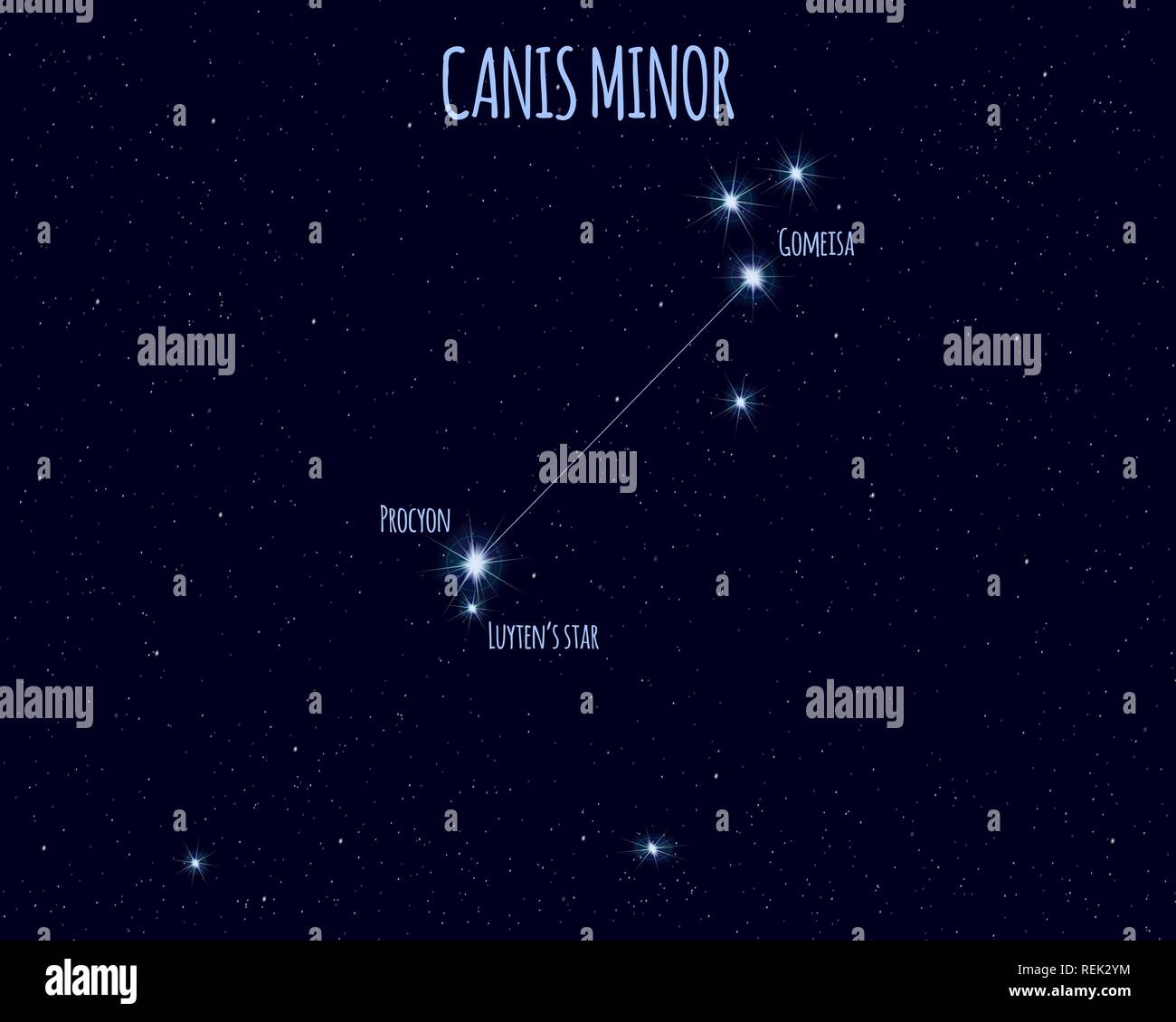 Canis Minor (The Lesser Dog) constellation, vector illustration with the names of basic stars against the starry sky Stock Vector