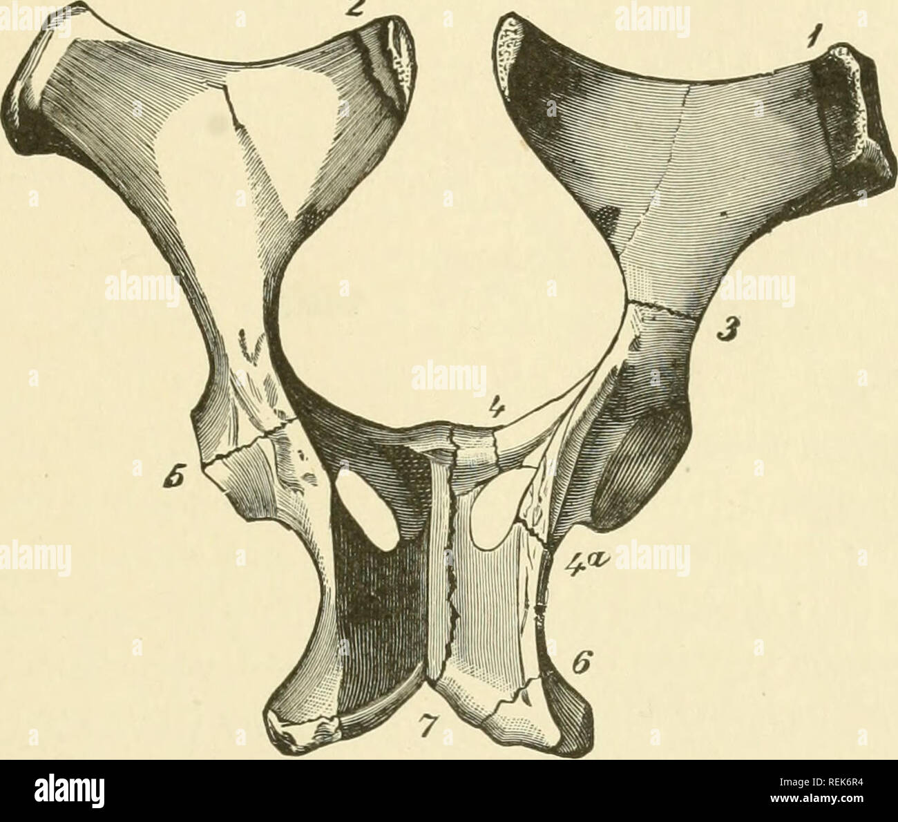 Clinical examina hires stock photography and images Alamy
